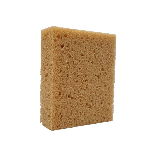 Tedd's Combi Cleaning Sponge